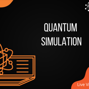 Quantum Simulation
